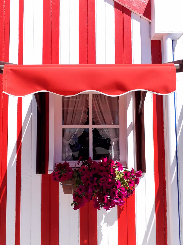 Aveiro Private Tour - null
