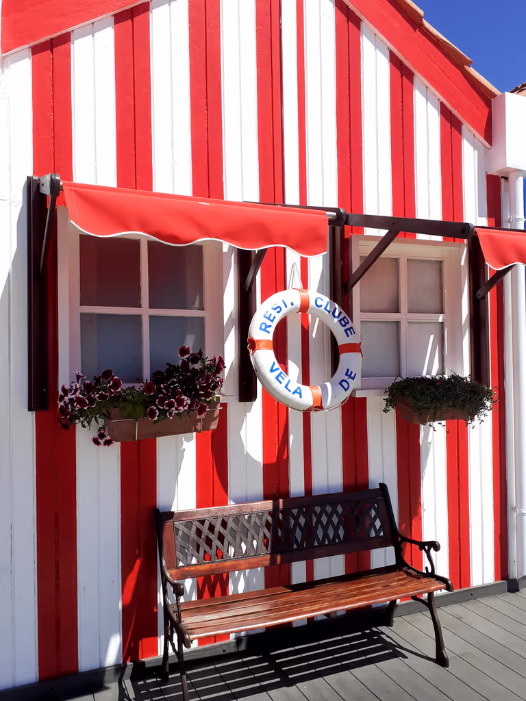 Aveiro Private Tour - null