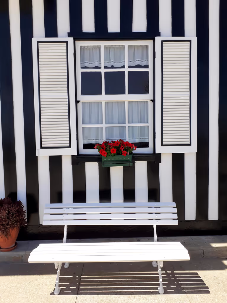 Aveiro Private Tour - null