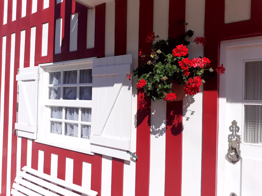 Aveiro Private Tour - null