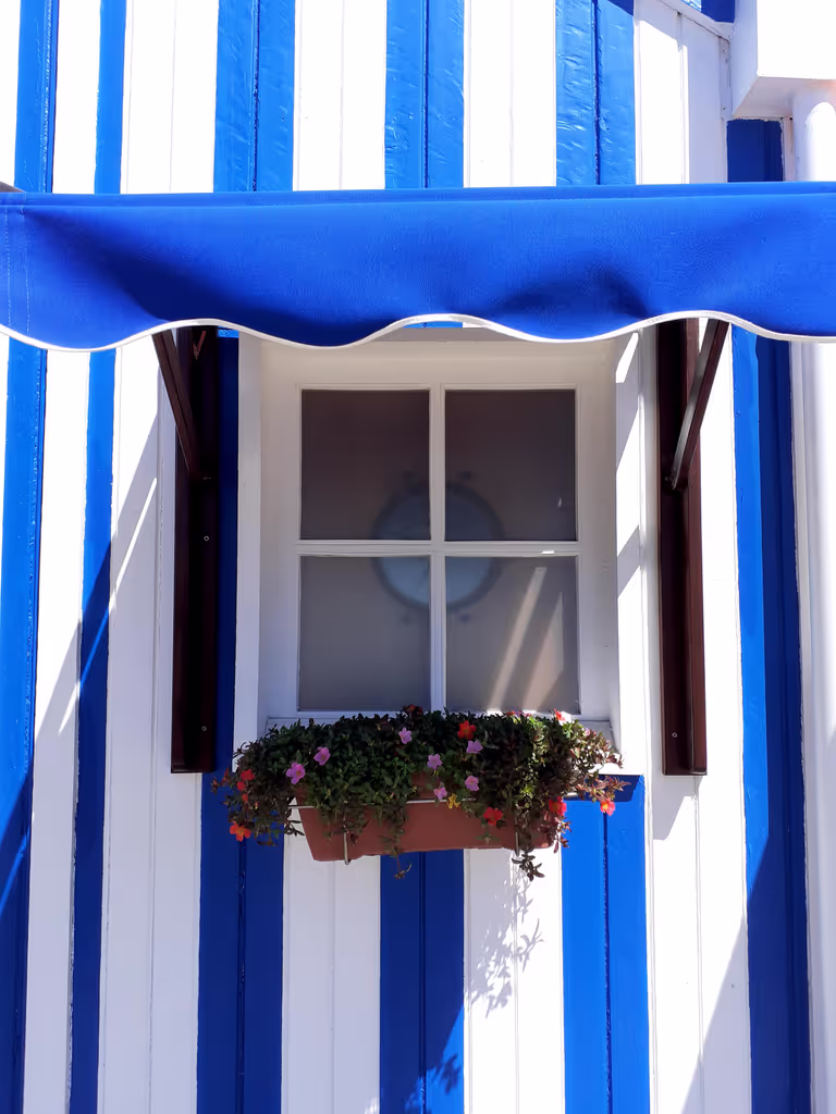 Aveiro Private Tour - null