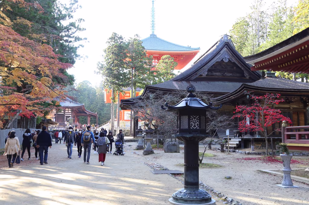 Kyoto Private Tour - Dsanjo Garan