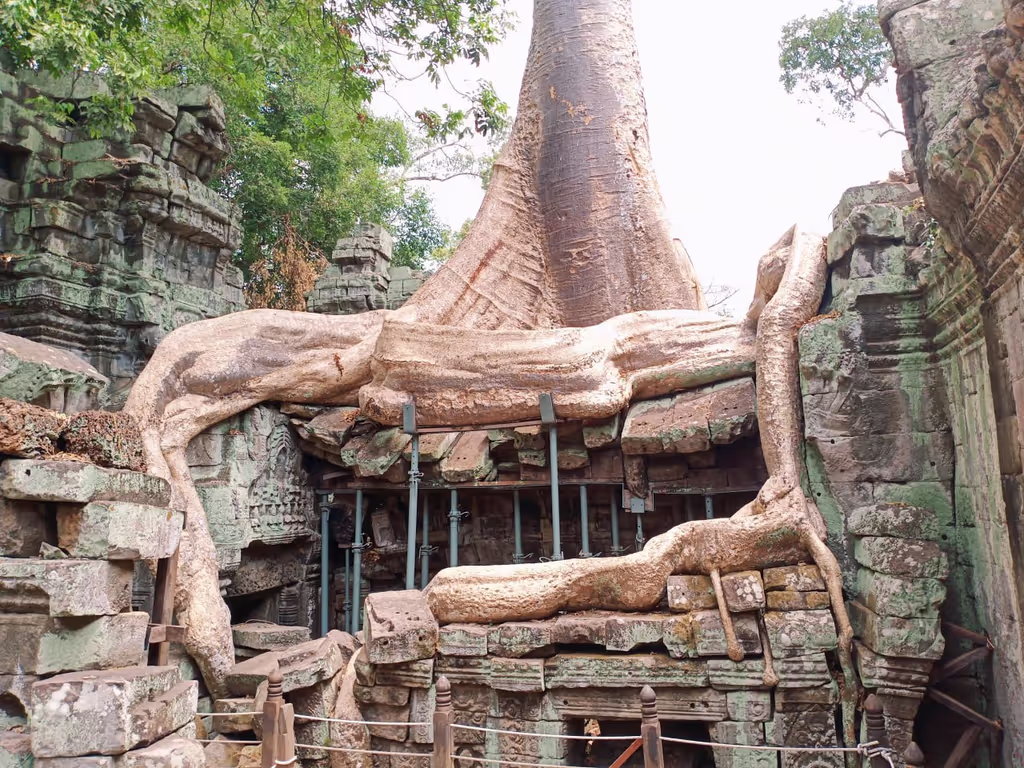 Siem Reap Private Tour - Ta Prohm