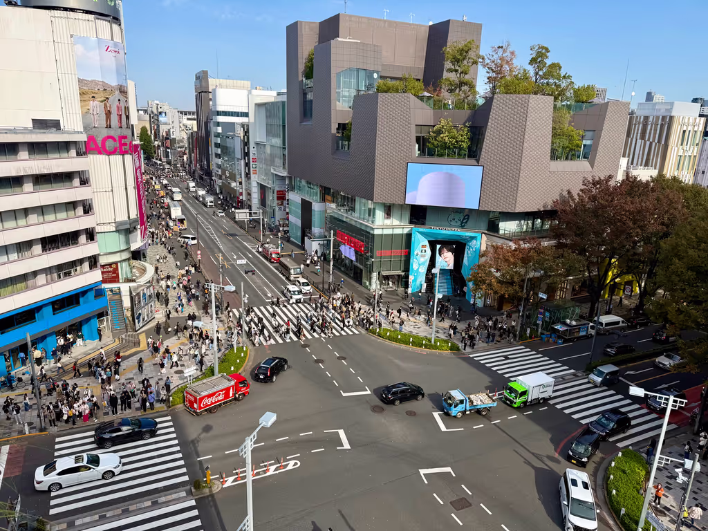 Tokyo Private Tour - Omotesando Ave