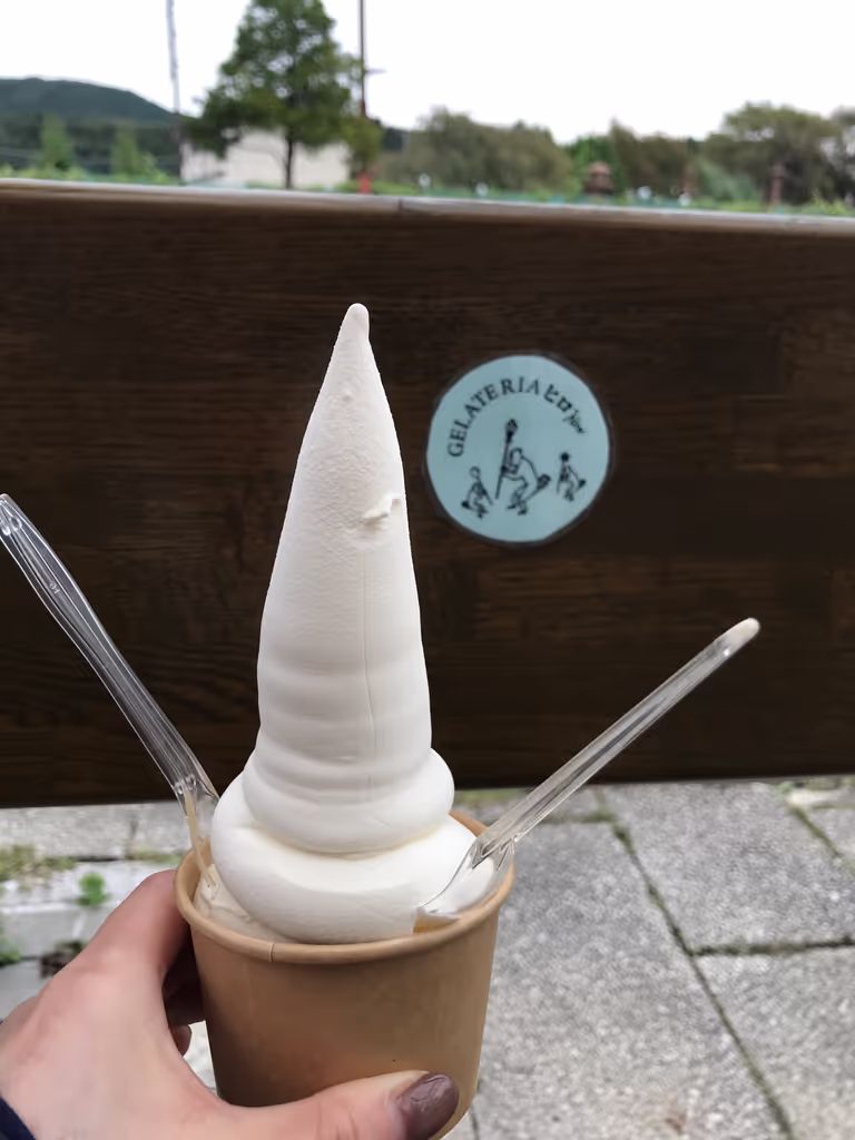 Nikko Private Tour - Nikko ice cream (in front of Nikko Station)