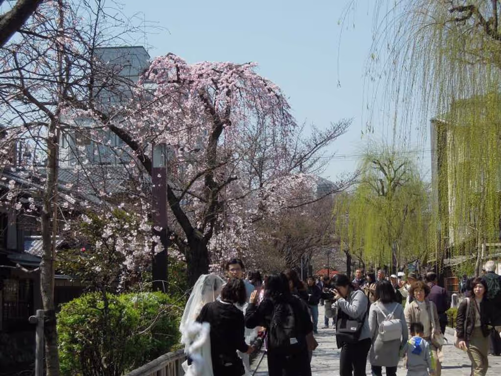 Kyoto Private Tour - At Gion Shimbashi
