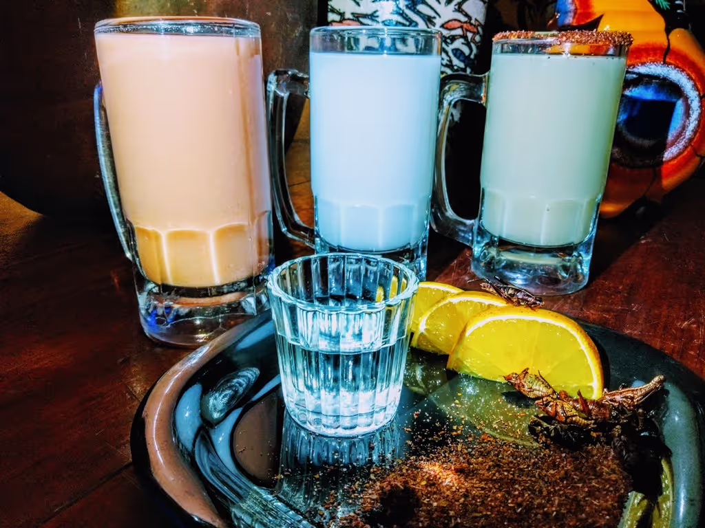 Mexico City Private Tour - Pulque and Mezcal.