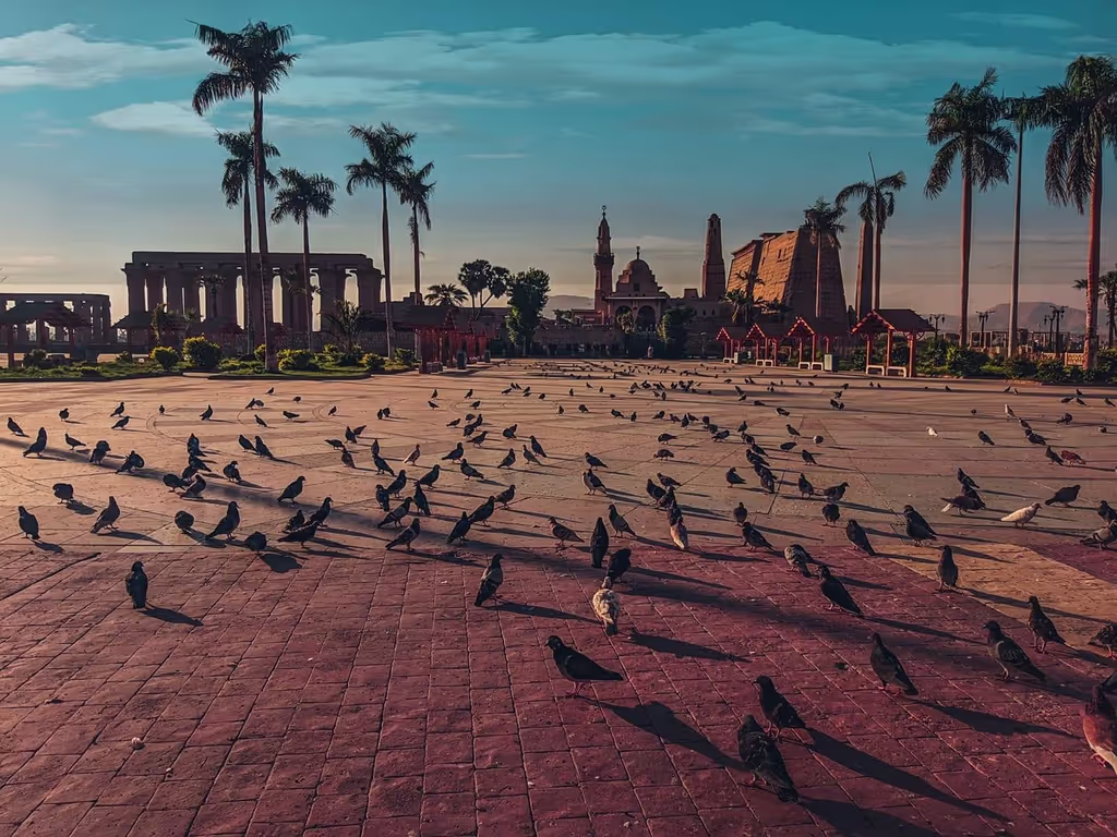 Luxor Private Tour - null