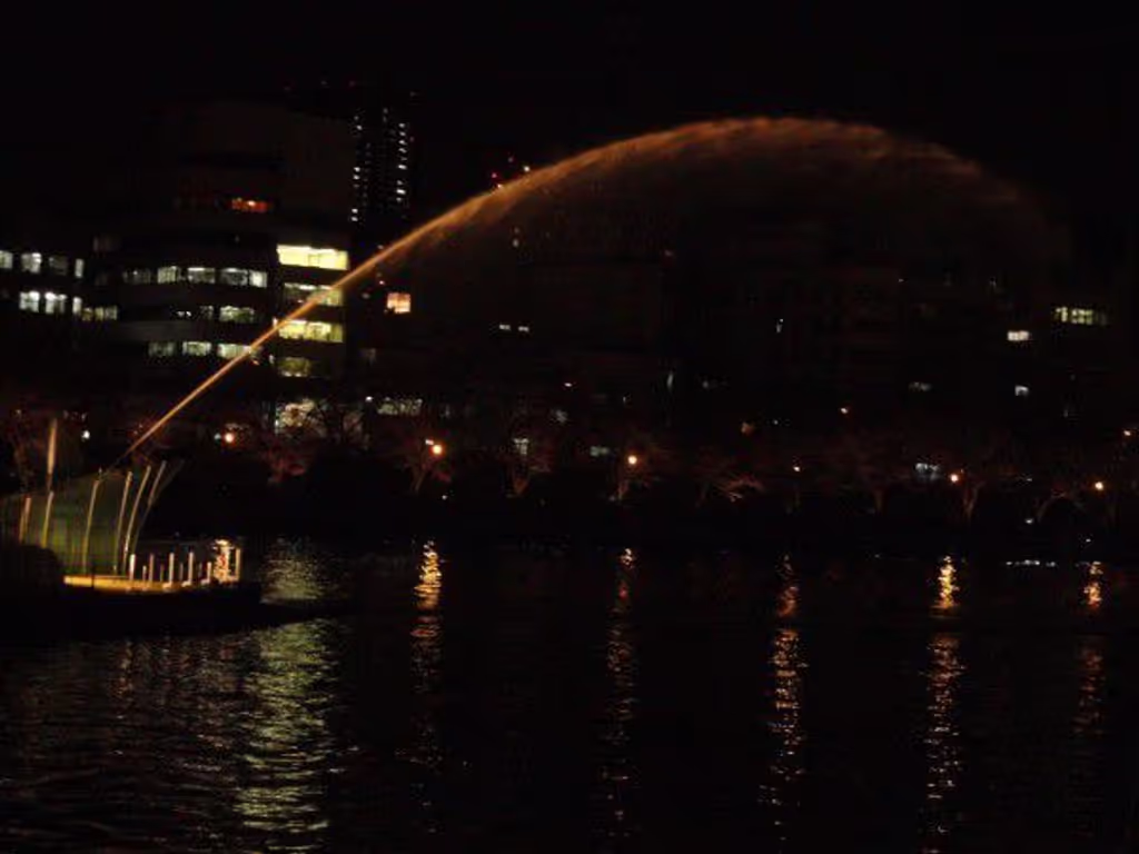 Osaka Private Tour - The fountain is squirting at night