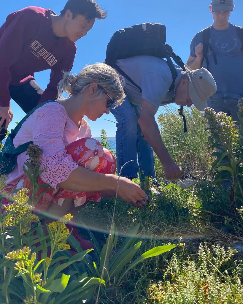 Halifax Private Tour - Foraging for sea vegetables