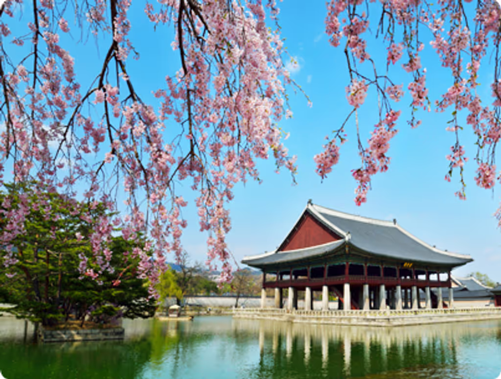 Seoul Private Tour - Gyeonghoeru pavilion in Spring:사진출처 :문화재청