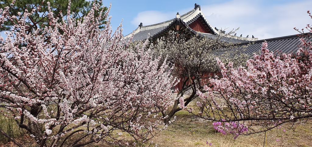 Seoul Private Tour - 