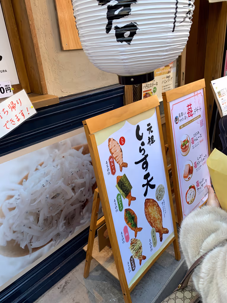 Kamakura Private Tour - Shirasudon (young sardine rice bowl), one of Kamakura's local specialties