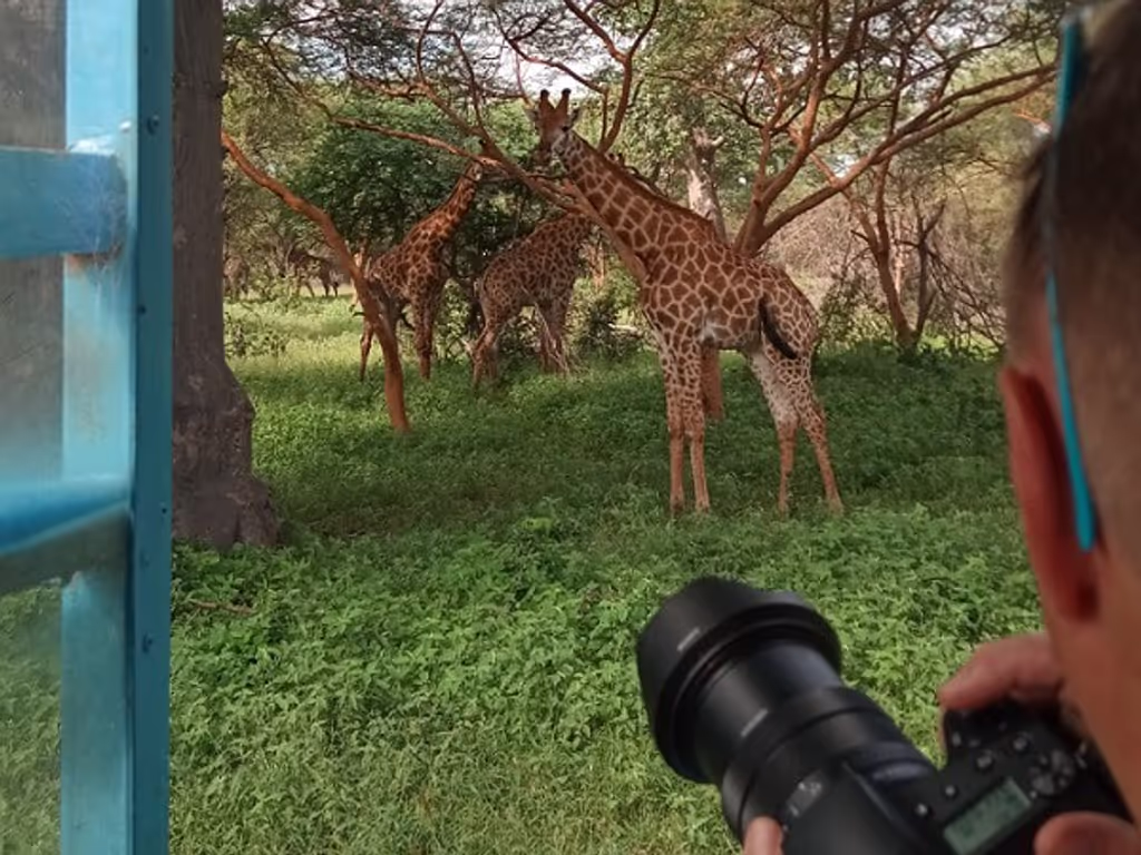 Dakar Private Tour - Safari Game Drive in Bandia Animals Reserve 