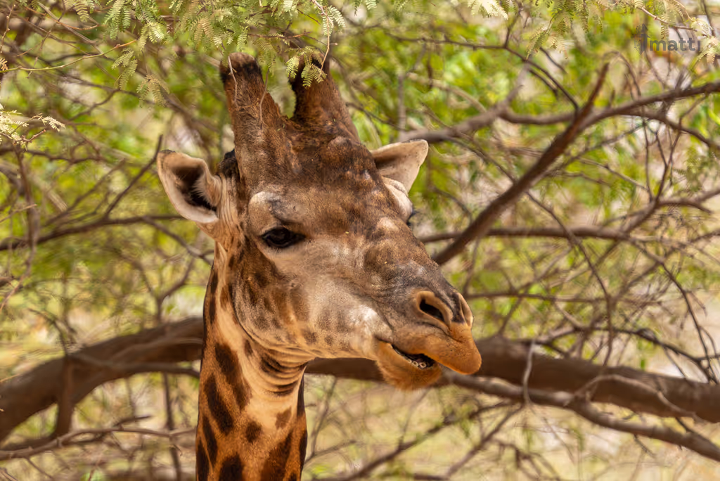 Dakar Private Tour - 