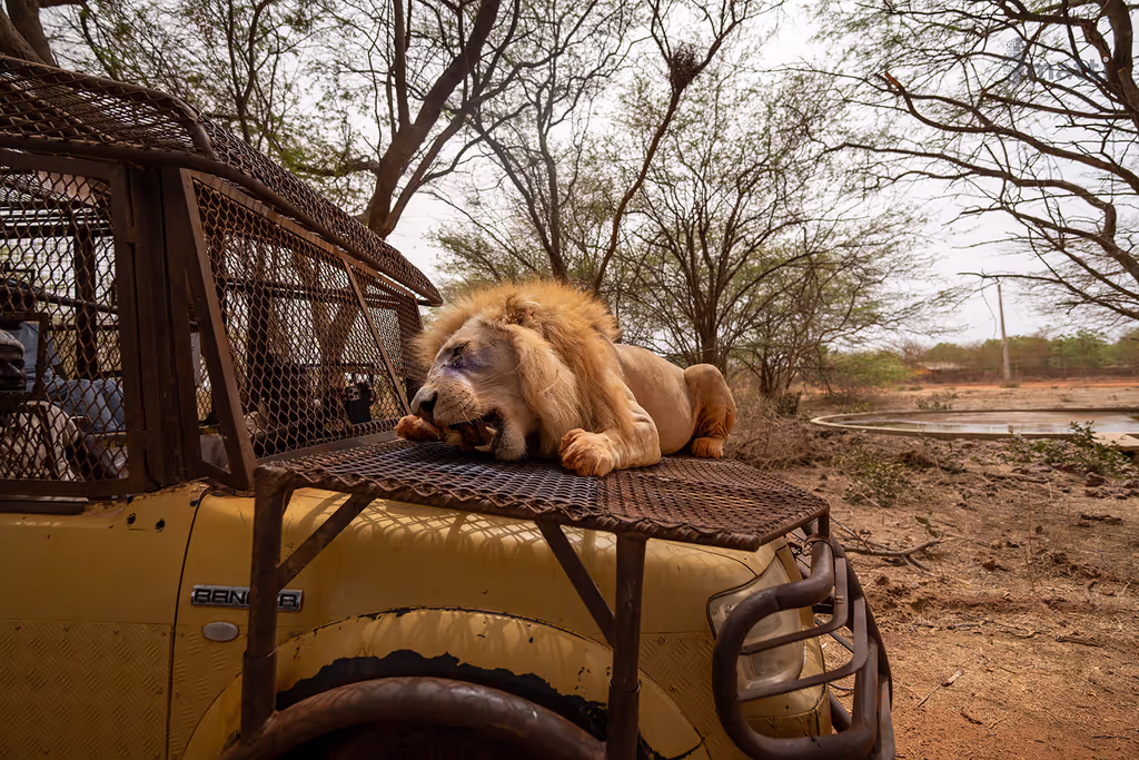 Dakar Private Tour - 