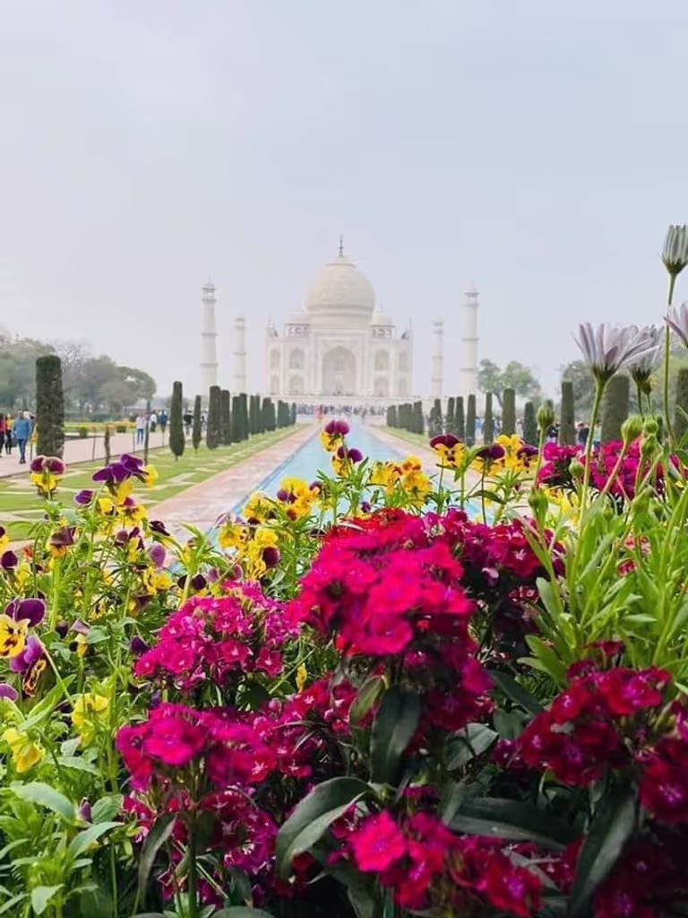 Agra Private Tour - null