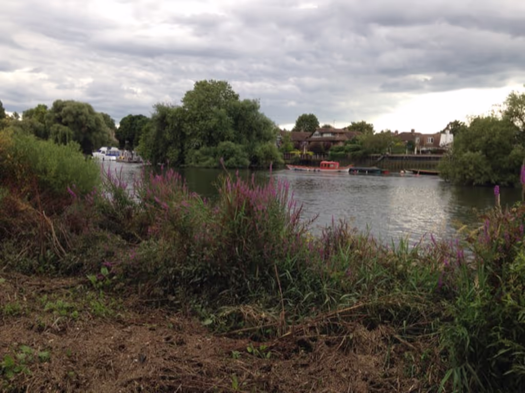 London Private Tour - The Thames Riverside 