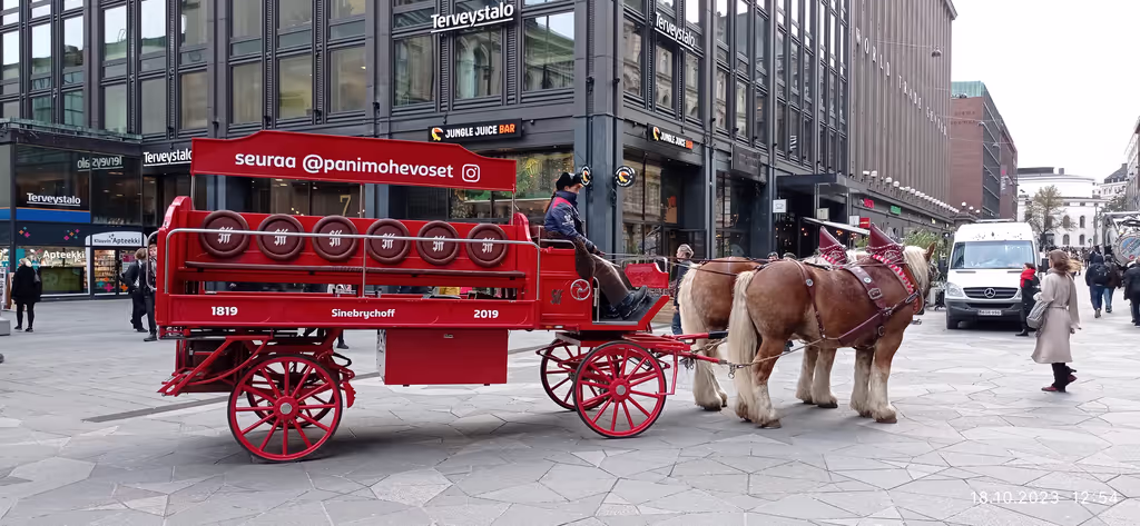 Helsinki Private Tour - Horse carriage advertising brewery