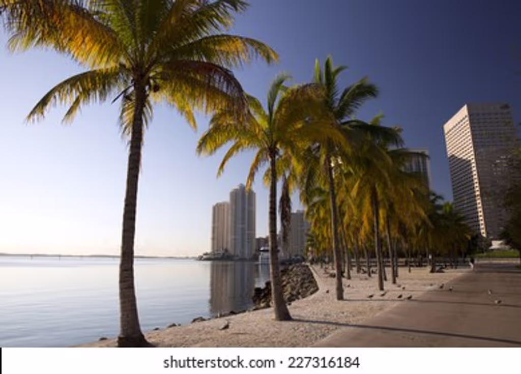 Miami Private Tour - Enjoy a walk on bayfront Park