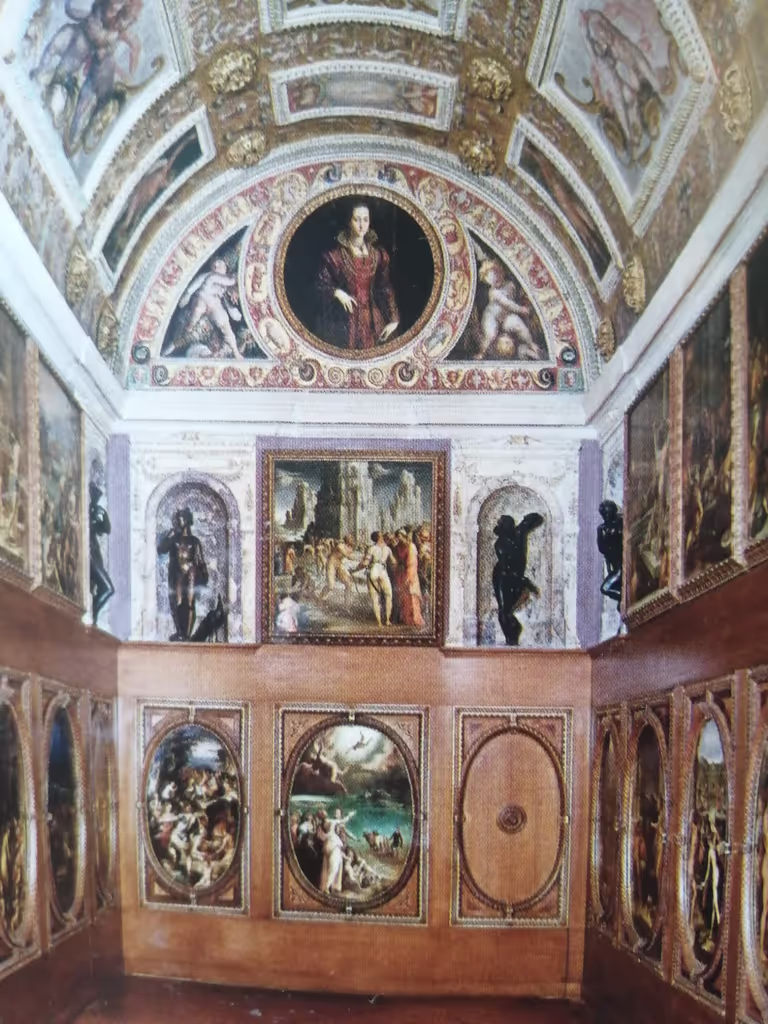 Florence Private Tour - Study of Francis I