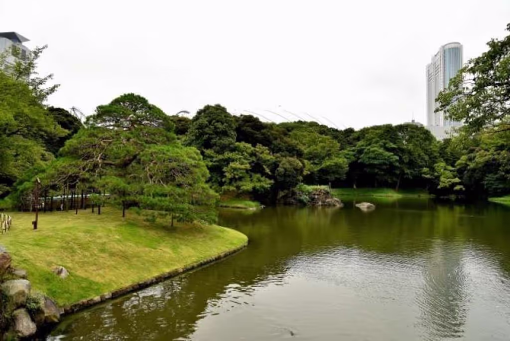 Tokyo Private Tour - null