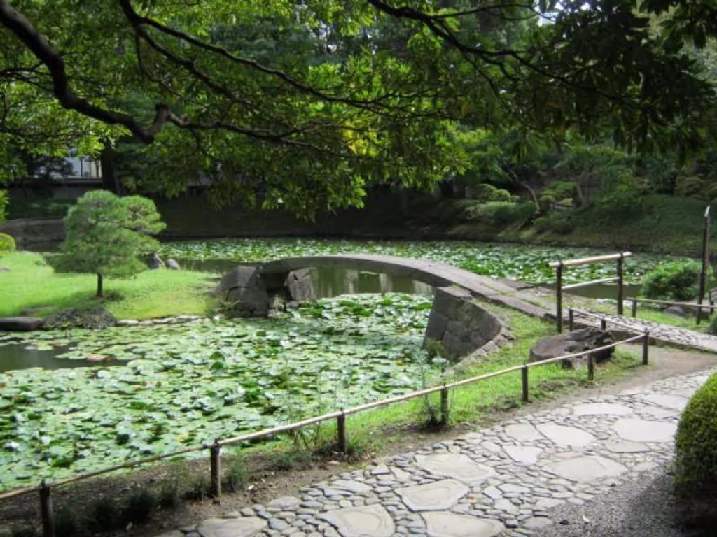 Tokyo Private Tour - null