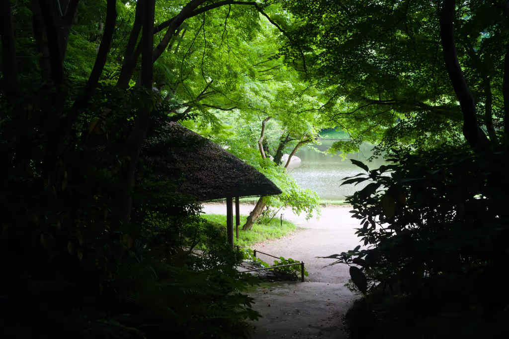 Tokyo Private Tour - null