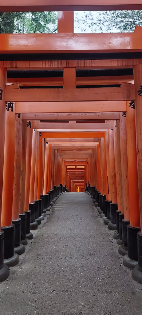 Kyoto Private Tour - null
