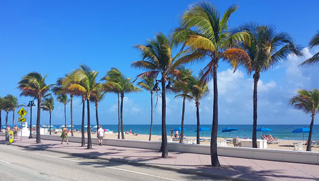 Miami Private Tour - Be apart of the beauty..