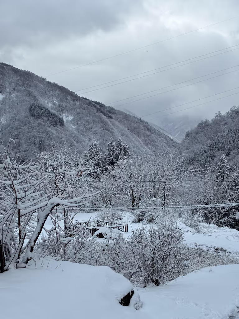 Kanazawa Private Tour - 