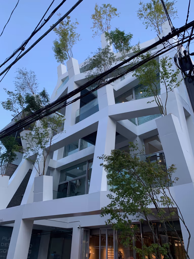 Tokyo Private Tour - Omotesando Branches