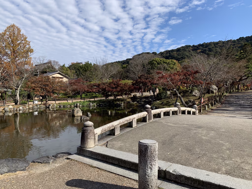 Kyoto Private Tour - null
