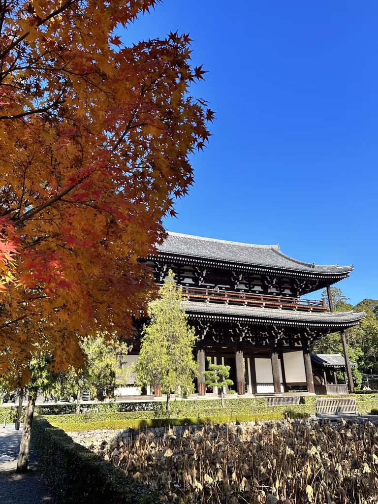 Kyoto Private Tour - null