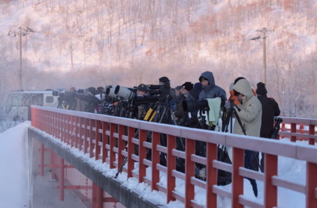 Hokkaido Private Tour - 
