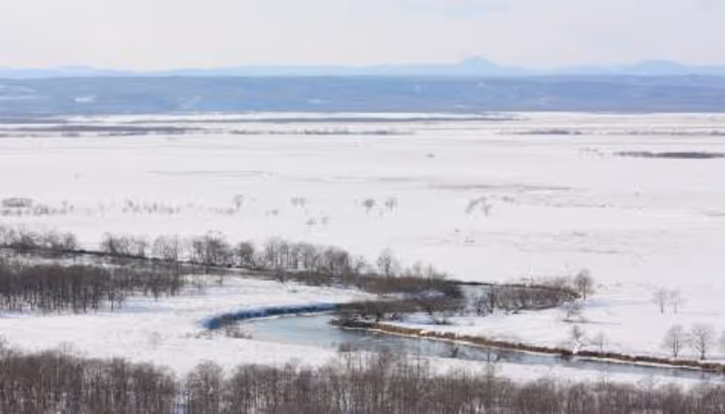 Hokkaido Private Tour - Magnificent view of Kushiro Marsh land