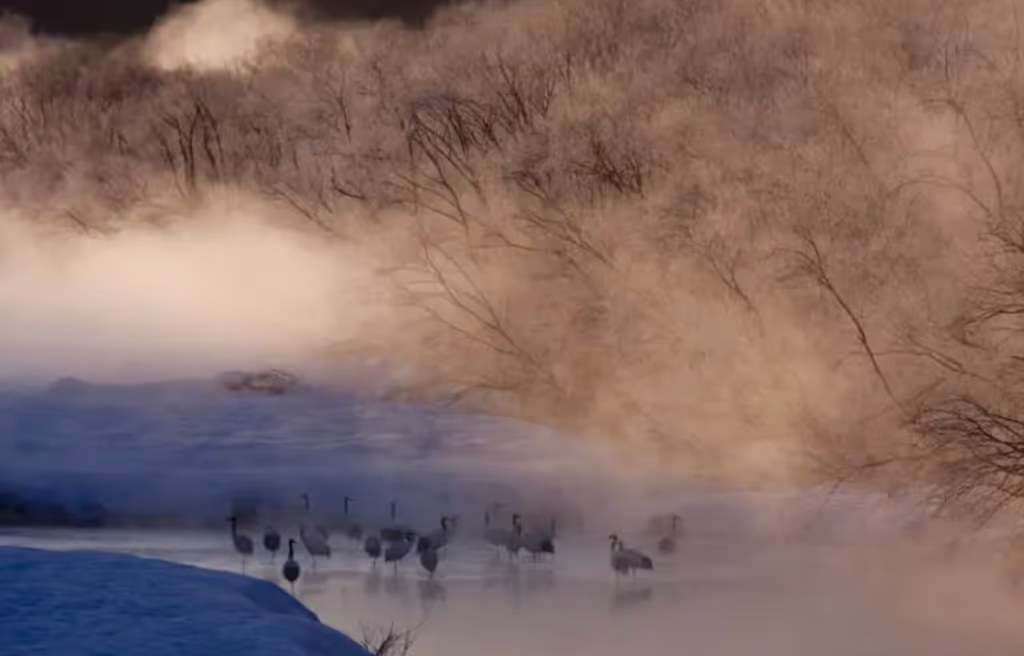 Hokkaido Private Tour - 