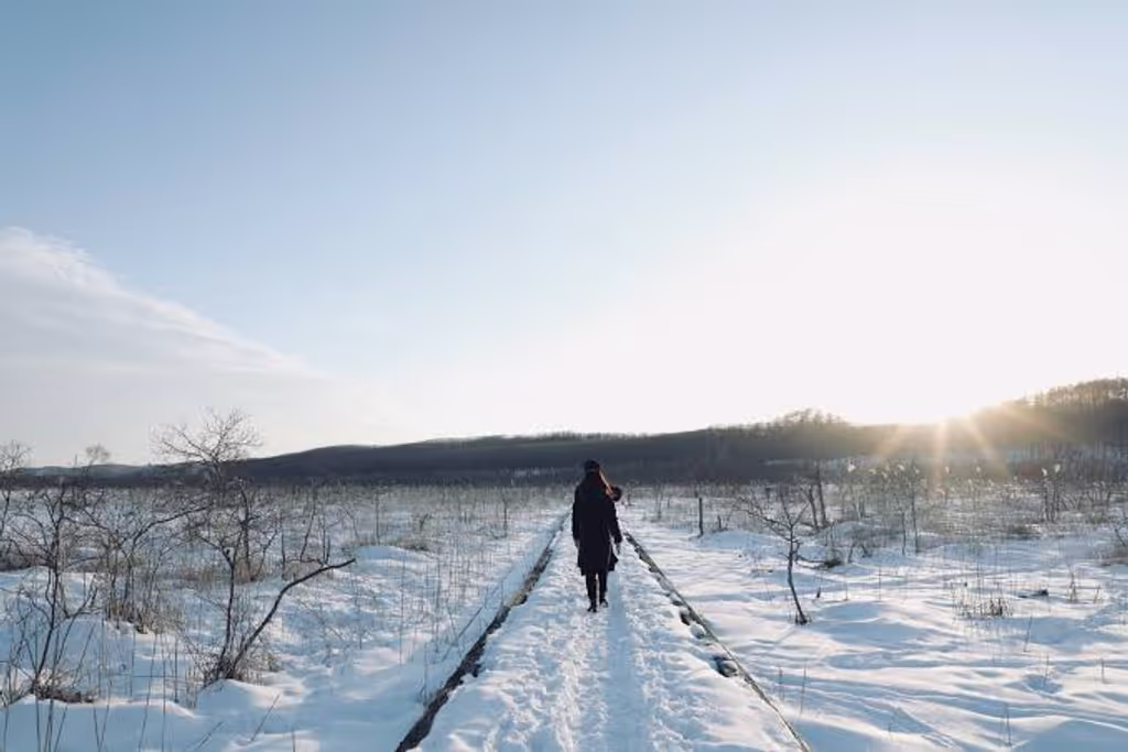 Hokkaido Private Tour - Boardwalk trekking