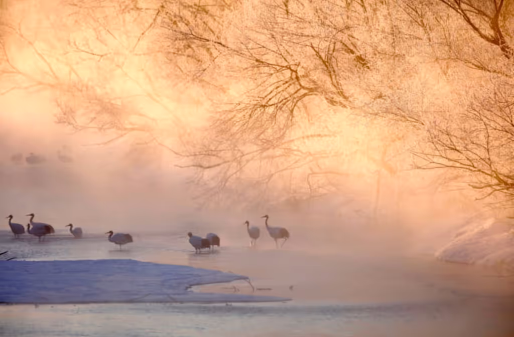 Hokkaido Private Tour - 