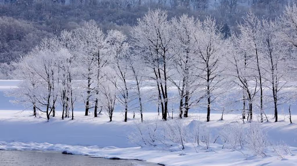 Hokkaido Private Tour - 