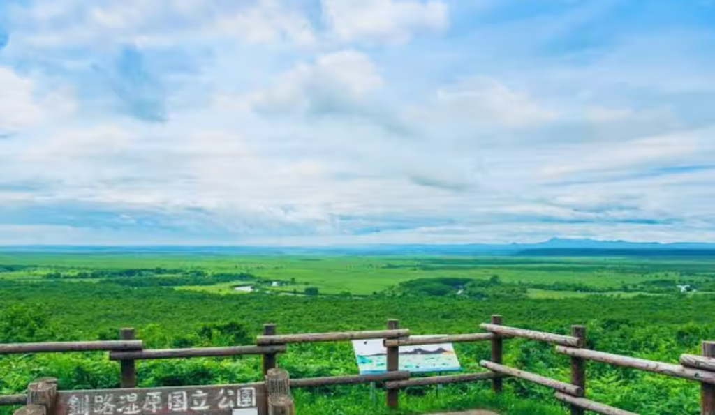 Hokkaido Private Tour - Hosooka Marshland View Point