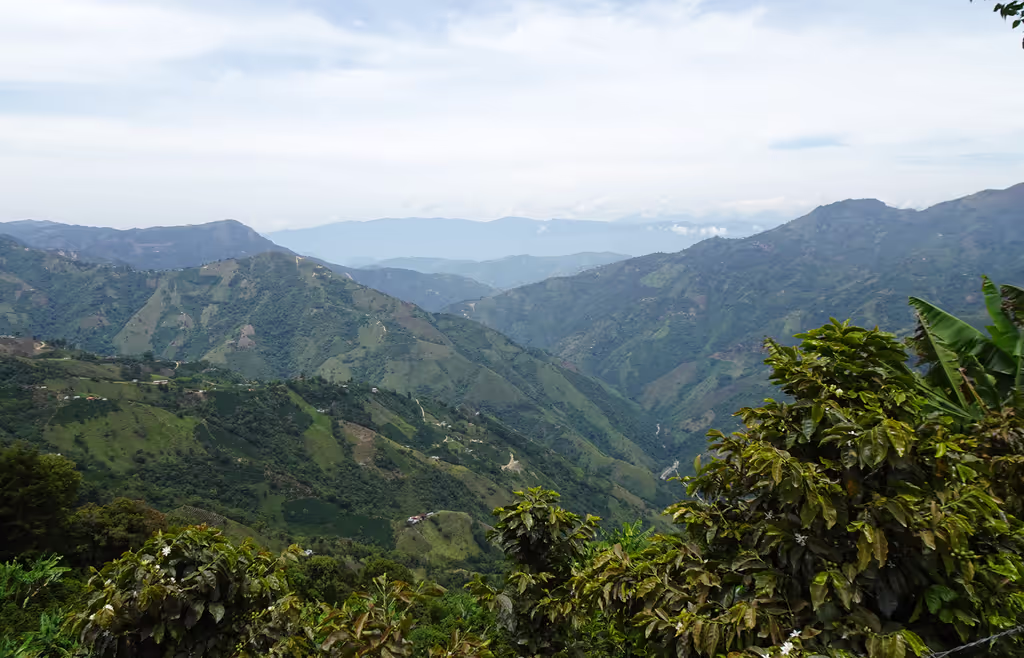 Medellin Private Tour - null