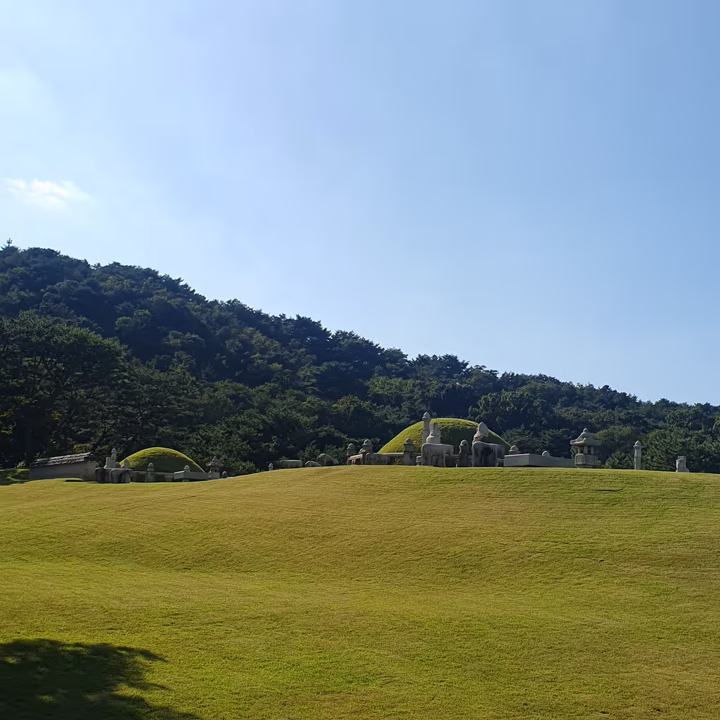 Seoul Private Tour - Royal tomb of Joseon Dynasty, Unesco world heritage, photo by Hans