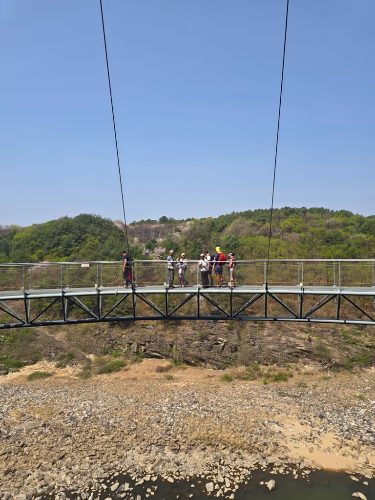 Seoul Private Tour - 