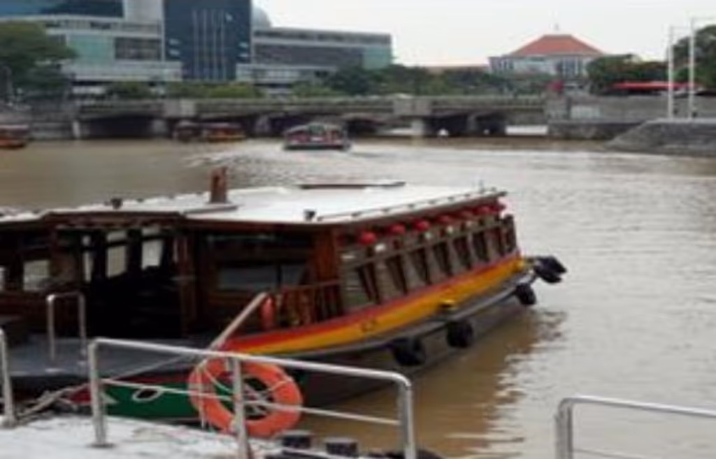 Singapore Private Tour - null