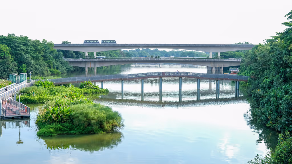 Singapore Private Tour - Floating Wetlands
