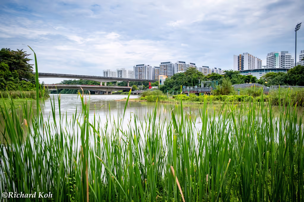 Singapore Private Tour - Floating Wetlands