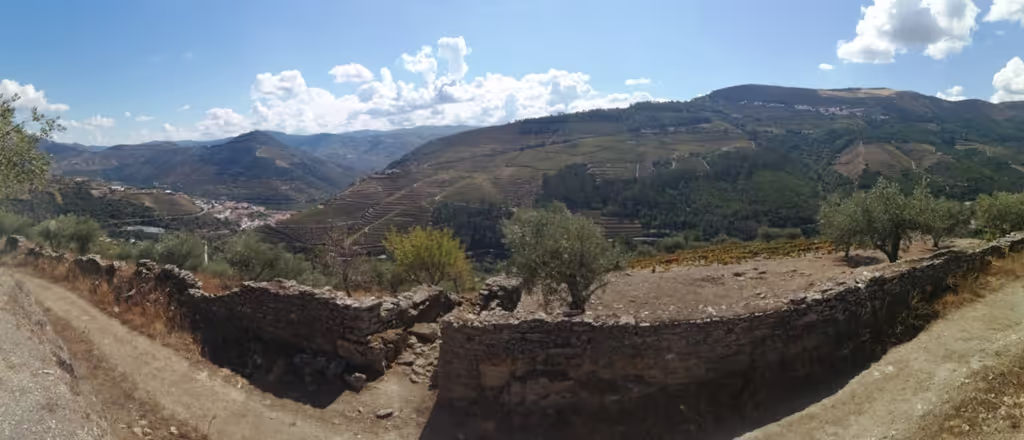 Douro Valley Private Tour - Arriving to town