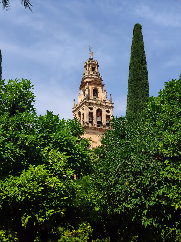 Cordoba Private Tour - Tower of the Mosque-Cathedral from the Orange Tree Courtyard