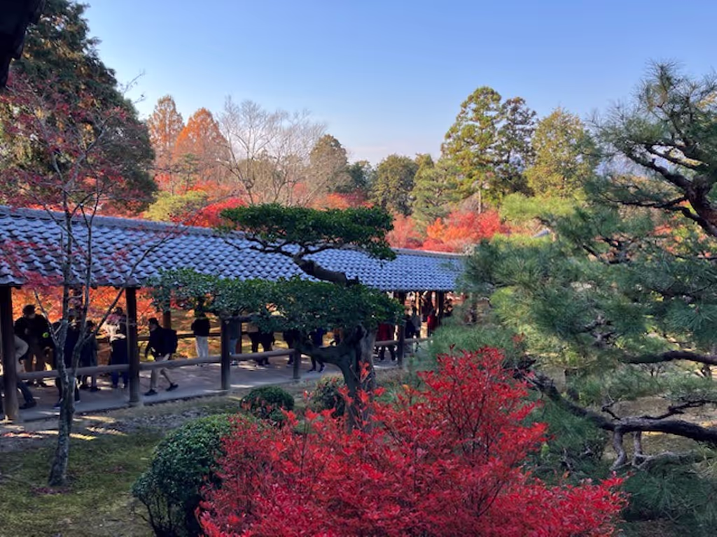 Kyoto Private Tour - Tofukuji Tsutenkyo Bridge